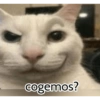 Graciosos🤣 19