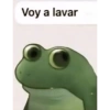 Graciosos🤣 17