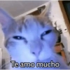 Graciosos🤣 22