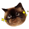 Gatitos 9