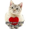 Graciosos🤣 29