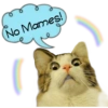 Gatitos 15