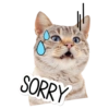 Gatitos 10