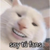 Graciosos🤣 24