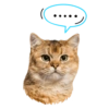 Gatitos 11