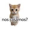 Graciosos🤣 23