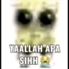 Ok banh 14