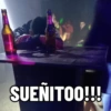 La organización  15