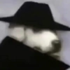 Random  28