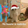 Navideños ⛇⋆☃︎ 12