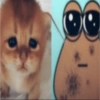 Ñam 5