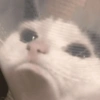 Nessitalamasprolol 10