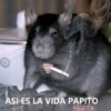 Doña lety 12