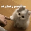 Nessitalamasprolol 11
