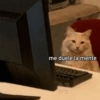Nessitalamasprolol 6
