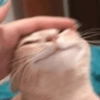 Nessitalamasprolol 9