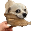 Pack Ninoco 24