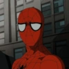 Homem Aranha  6