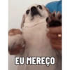Pack Ninoco 12