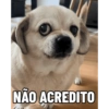 Pack Ninoco 7