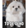 Pack Ninoco 22