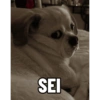 Pack Ninoco 5