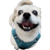 Pack Ninoco 11