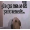 Ok mañana 11
