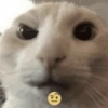 Aleatório  9
