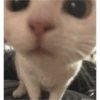 Aleatório  12