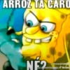 Betinha plus 8