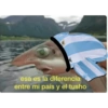 Mexichangos 27