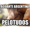 Mexichangos 24