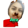 Mexichangos 30