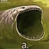 Uvu 24