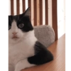 Poki 13