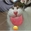 Poki 10