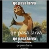 😎👌💪👍 13