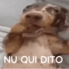 React meio sei lá 12