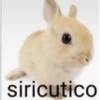 React meio sei lá 11