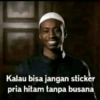 Fesnuk 13 15