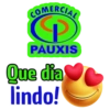 COMERCIAL PAUXIS 29