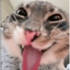 ???? 30