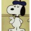 Snoppy  8