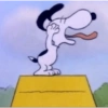 Snoppy  6