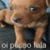 React meio sei lá 7