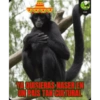 Mexichangos 8