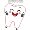 Dentabay 13