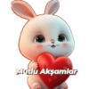 İyi aksamlar 19