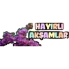 İyi aksamlar 17